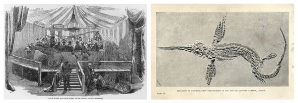 From left: English sculptor and natural history artist Benjamin Waterhouse Hawkins and guests dining inside his life-size model of an iguanodon at the Crystal Palace in 1853; An 1894 lithograph of a Leptonectes tenuirostris (Ichthyosaurus tenuirostris) skeleton in the Natural History Museum in London.