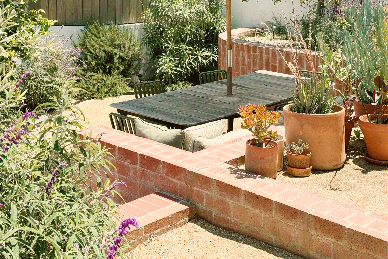 The new backyard is planted with flora that requires little water, such as cacti, rosemary, agave, and olive trees. Alfie's parents have a house in Italy, so the landscape was inspired by southern California and Tuscany.