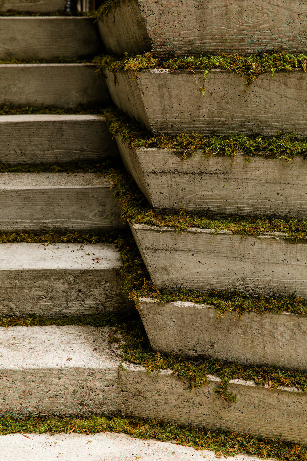 Given the Northwest's damp climate, moss thrives, and Daniel and Sandy are embracing the natural touch. 