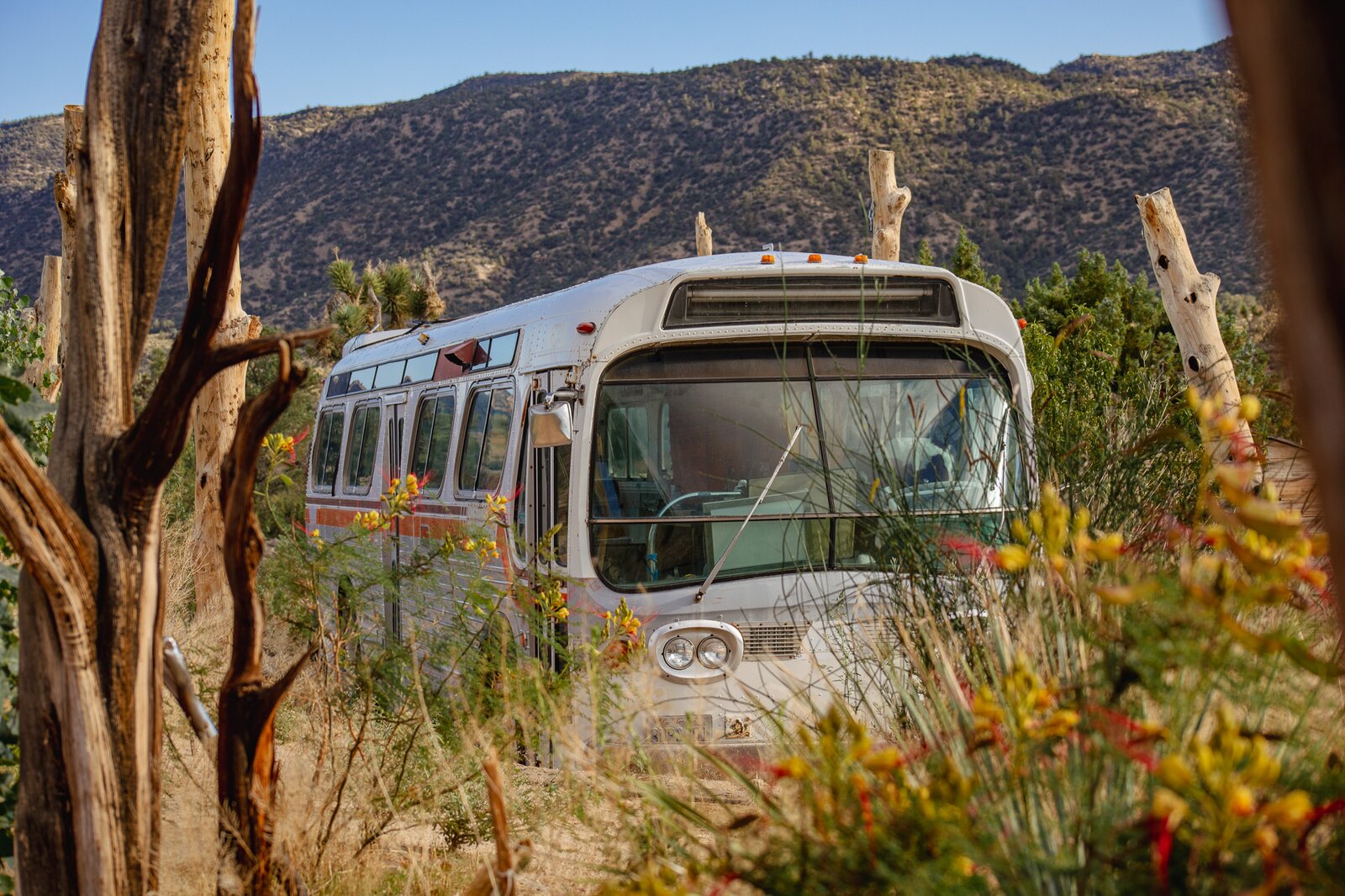 Photo 12 of 23 in Thunderbird Ranch 4parcel 35 acre offgrid property