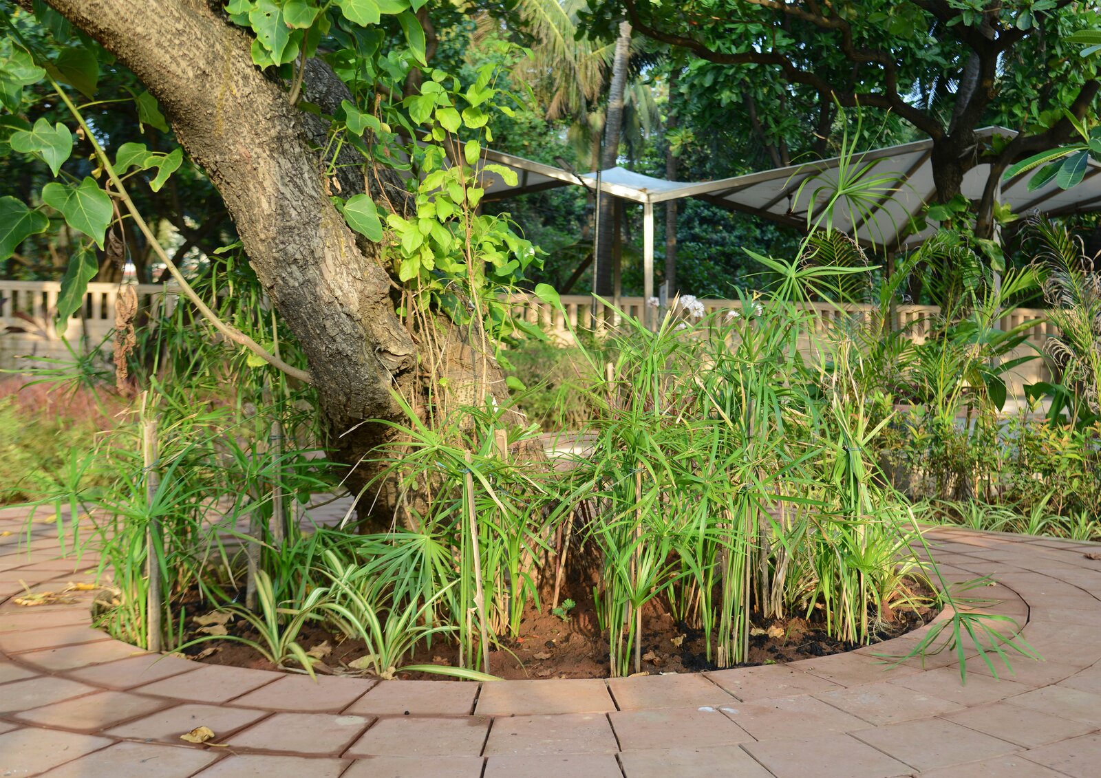 photo-6-of-21-in-inspiring-transformation-of-juhu-beach-park-mumbai-by