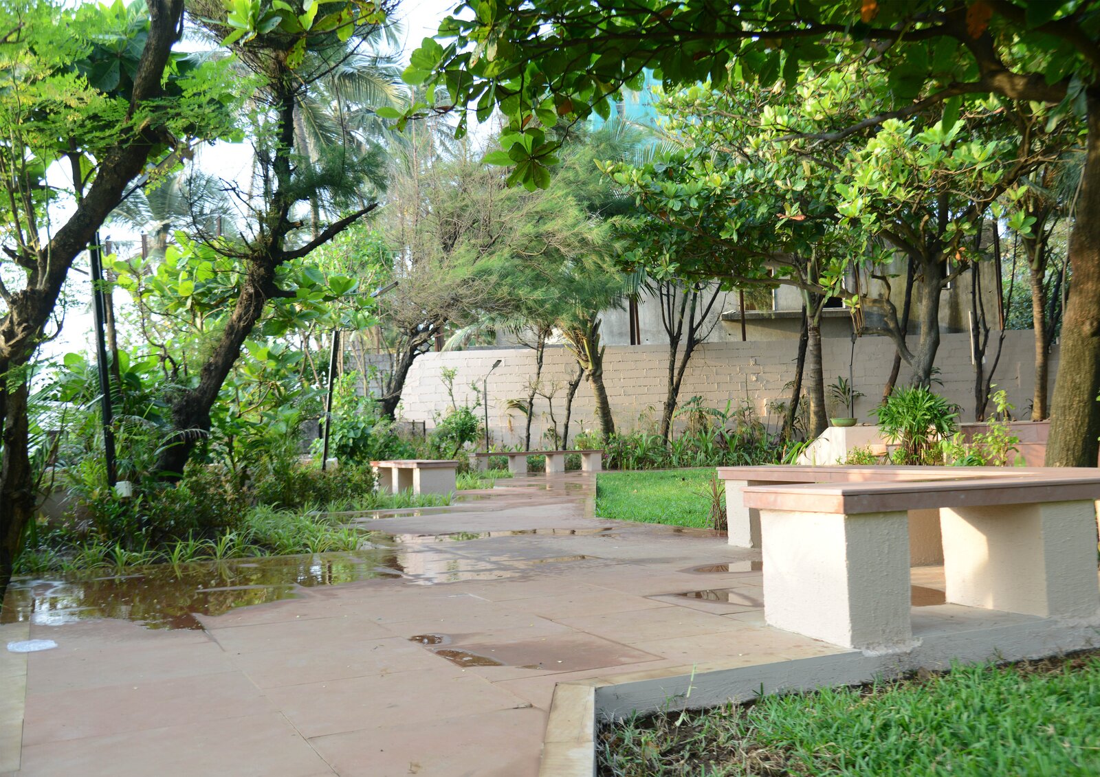 Photo 7 of 21 in Inspiring Transformation of Juhu Beach Park, Mumbai by