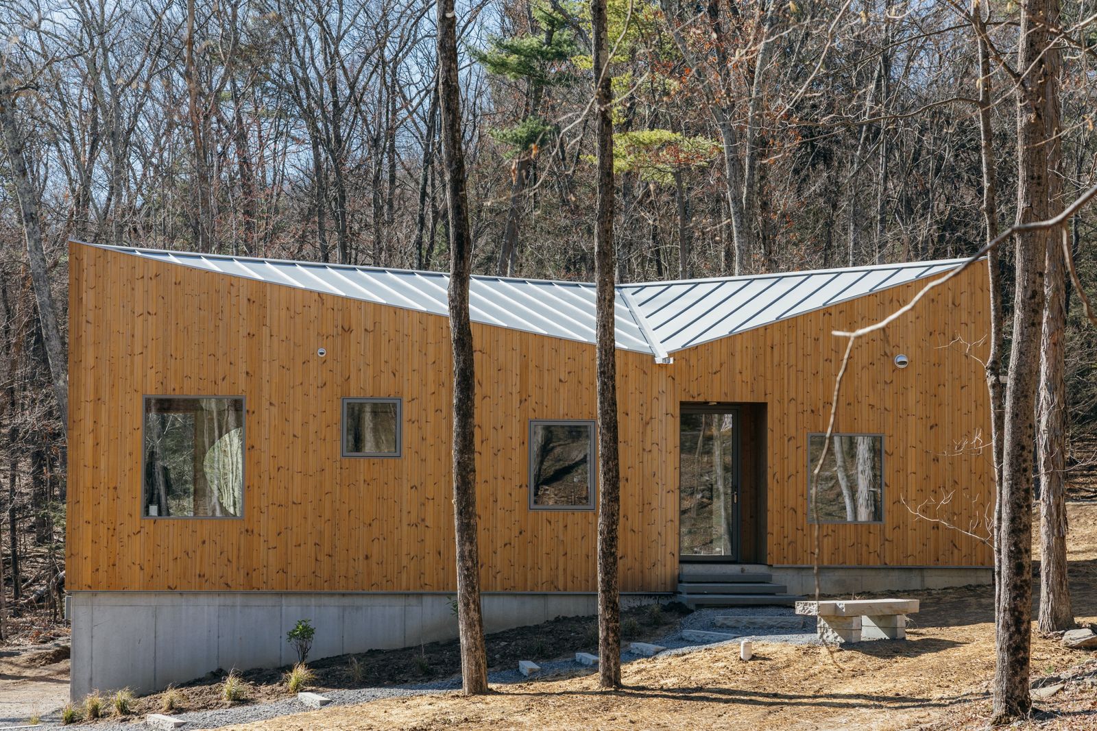 The courtyard house syncs with its two-plus-acre site with wood cladding, exposed timber rafters, and large picture windows.