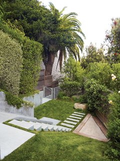 Concrete meets greenery in the backyard. 