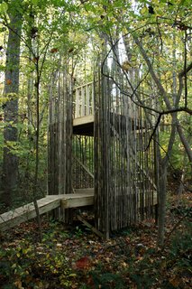 Modern Across America: Baltimore, Maryland - Photo 3 of 6 - Comprised of two eight-foot-by-eight-foot platforms that create two floors, and screened in with bamboo shoots, a modern tree house outside Baltimore provides sanctuary for kids and adults alike. Photo courtesy Laurie Stubb.