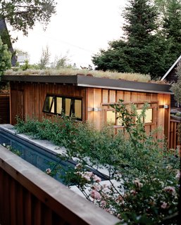 A green roof blooms atop a detached garage at a California home by landscape designer Loretta Gargan.