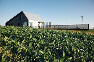 A Sustainably Built Home in Rural Ontario - Photo 4 of 16 - The long gangplank of a deck runs right out into the fields, a fact that Treanor relishes.