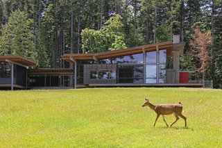 An Off-the-Grid Island Home for a Seattle Music Producer - Photo 1 of 16 -