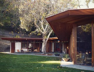 The house wraps around a sycamore tree planted at the time of construction. The outdoor furniture is from Selamat Designs. "In most buildings, everything is set," Robbins says. "In this house, you have three ways you can dine—I love that. The most surprising wonder about the project has been the ability to move things around."