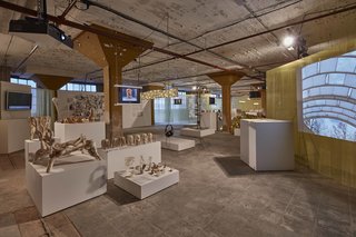 16 Groundbreaking Dutch Designers to Know Now - Photo 19 of 20 -