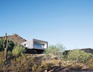 These 7 Homes in the Southwest Show How to Design For the Desert - Photo 1 of 7 - A lone saguaro marks the southwest corner of Thomas and Laura Hyland’s property, which is situated adjacent to the Phoenix Mountain Preserve and was designed by Wendell Burnette. The structure’s main living volume is elevated and faced in glass, overlooking a descending pathway that leads to a pool tucked into the site. The glazed wall is shaded from the strong desert sun with a deep overhang, while the other walls are relatively solid, reducing the impact of the sun on the rest of the home's interior.