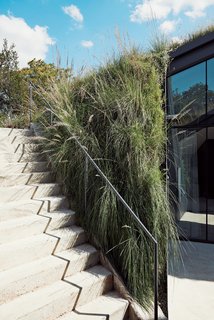 Native grasses spill forth from the green roof toward a stairway leading to the main level.