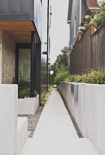 The architects installed concrete pavers on the north and east sides of the house with wooly thyme planted in between.