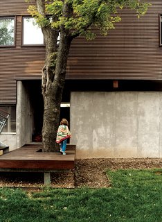 15 Brilliant Designs That Work Around Nature - Photo 3 of 15 - Architect Jamie Darnell built the decking, of ipe, to accommodate a tree by the entrance to the garage.