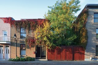 A Vine Romance<br><br>One of Bernier’s earliest and ongoing projects is covering the exterior with vines, including Virginia creeper, which grows thickly and can survive cold winters. It not only helps keep the home cool in summer, he says, but also muffles the sounds of the city outside. For urban-friendly gardens, Bernier recommends the landscape company Jardinzurbains.<br><br>jardinzurbains.com