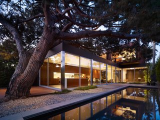 Despite the challenges a pine tree’s location presented, architect Daniel Monti never considered removing it from its native Venice, California, location. "The pine tree is such a special piece of the lot that you can’t help but fall in love with it," says Monti. Instead, he worked around it to create a three-bedroom 2,700-square-foot home that echoes the beauty of that majestic age-old tree. Finally, the stone pine tree reveals itself from the backyard looking over the Venice neighborhood. Its canopy stretches over the first floor of the home and can be glimpsed by the skylights placed strategically above the living area.