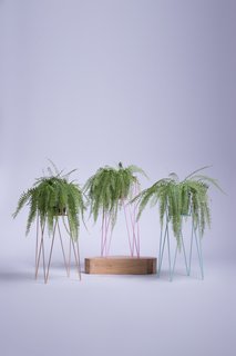 Heima Brings Rainbow-Bright Design to the Philippines - Photo 5 of 8 -
