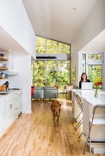 A Versatile House Fulfills All This Musician's Needs - Photo 7 of 11 - Sarah Magill and Copa, her golden retriever, relax in the kitchen of her home in Kansas City, where an eco-quartz-topped island can be used as a dining table—one of the home’s many adaptable features. The Akurum cabinets and handles are from Ikea, as are the Franklin folding bar stools, and the appliances are compact models from Summit.Add credit