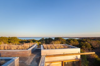 The house is oriented to maximize views of the ocean and Edgartown to the west, and Nantucket and Cape Pogue Bay to the east. Natural sea grasses sourced from the surrounding area cover the roof of the building, providing thermal insulation while also dampening the noise of rain, improving air quality, and helping to manage rainwater flow.