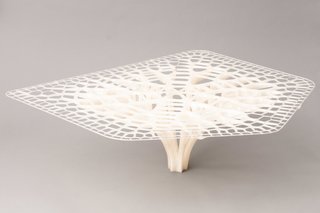 Want the Perfect Chair? Print It - Photo 2 of 6 - Table designed by Exploration Architecture with the BigRep Printer, based on the adaptive growth patterns of trees and bones.