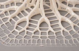 Want the Perfect Chair? Print It - Photo 5 of 6 - Advanced computer programs and 3-D printing allow for complex pattern replication in the finished product.