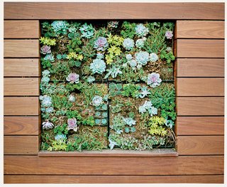 Bay Area Ipe-Clad Backyard Getaway - Photo 2 of 6 -