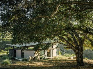 A substantial portion of this home is shaded by a large oak tree, which is located far enough away from the structure to not block views or local winds.
