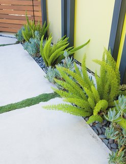 Creative Landscape Design for a Renovated Eichler in California - Photo 2 of 9 -