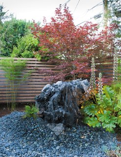 Creative Landscape Design for a Renovated Eichler in California - Photo 7 of 9 -