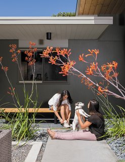 Their daughters, Annapurna, left, and Siddartha, play with their dog, Anouck, beneath the kangaroo paws in the entry garden courtyard.