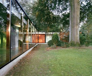 The Tree of Ghent - Photo 1 of 11 - The 300-year-old beech tree supplies shade, movement, sound, and color to the site, and provides a towering natural counterpoint to the renovated home's long, low expanses of glass.