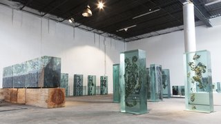 Glass Sculptures Use Magazines as Art - Photo 2 of 6 -