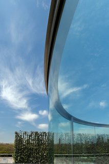 A Mirrored Garden Comes to the Met Rooftop - Photo 4 of 5 -