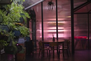 Easy, Indoor Gardening for City Dwellers - Photo 2 of 4 -