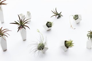 Shops We Love: Forage Modern Workshop - Photo 2 of 11 -