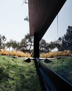 Modern Home Designed for Live Music in Beverly Hills - Photo 2 of 10 - Walker left the site in its natural state, but added grasses along the path to the entrance. For more ways to use grass in your home.
