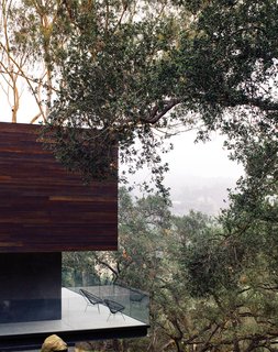 Modern Home Designed for Live Music in Beverly Hills - Photo 9 of 10 - Just as the barn was extended and cantilevered over the sloped site, so too was the deck off the kitchen, which juts out toward the oak grove. "There are 125 coast live oaks on the property," says Walker. "They’re beautiful trees, so why not exploit that?" See more ways to use oak in your home.
