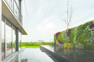 The rear patio features a living wall. Photo courtesy of JSa.