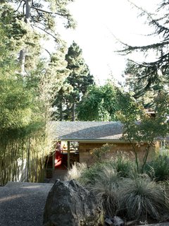 A stony walk and a line of bamboo, original to the property, direct visitors to the entryway of the Pfeiffers’ modest 1956 slice of heaven.