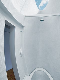 The curving exterior of the podlike bath and shower cuts an elegant form at the other end of the room.