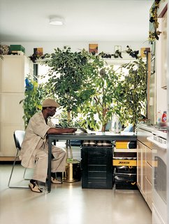 Ernest Gladney reads alone at a worktable in his bedroom. Tall houseplants give Gladney a shade of privacy against the passing cars on Clybourn Avenue.