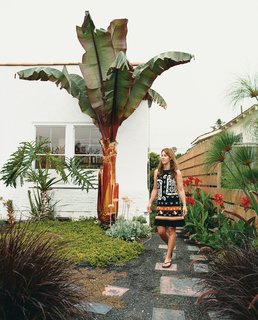 Most of the plants in the garden are grown from cuttings imported from Mexico. "I have a trailer down in Baja," Siegal reports. "It’s a total ad-hoc situation: no electricity, an outdoor shower, an outhouse. It’s a level above camping."