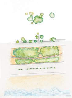 This Surfer's Beach House is More Than It Seems - Photo 4 of 13 - The site plan shows how the old (A) and new (B) buildings connect.
