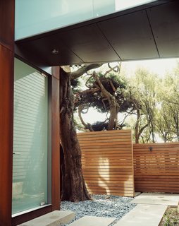 This Surfer's Beach House is More Than It Seems - Photo 13 of 13 - The cypresses beyond the ipe fence afford the family privacy.