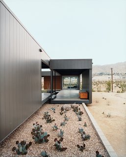 Desert Utopia - Photo 5 of 9 - Ocotillo was placed in key areas as a great structural focal point.
