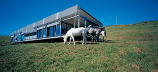 "There’s a lot of horse talk here, and with this place there is plenty of opportunity for interaction. My horses can play Mister Ed and join right in," says Kropach. Her inquisitive Andalusian steeds regularly socialize with guests via sliding windows along the house’s main north-facing elevation.