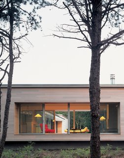 Viewed from the street, the house’s kitchen/living area, raised on a platform with massive picture windows, resembles a stage. Banks and Lazar plan to enhance privacy by planting trees and shrubs.