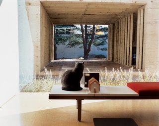 Seated on a George Nelson bench, feline resident Miu Miu gazes through the east picture window at the ongoing construction. Sharing the bench is a quarter-inch-to-one-inch-scale model of the house and addition.