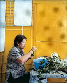 Honolulu, Hawaii - Photo 13 of 16 -