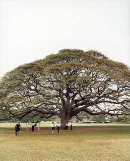 Honolulu, Hawaii - Photo 16 of 16 -